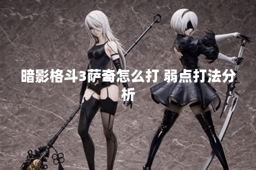 暗影格斗3萨奇怎么打 弱点打法分析