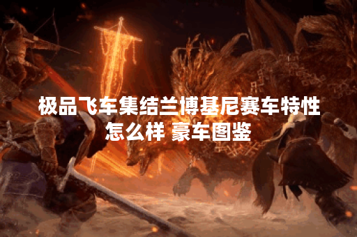 极品飞车集结兰博基尼赛车特性怎么样 豪车图鉴 极品飞车集结兰博基尼赛车特性怎么样 豪车图鉴