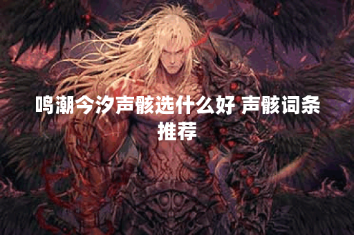 鸣潮今汐声骸选什么好 声骸词条推荐 鸣潮今汐声骸选什么好 声骸词条推荐