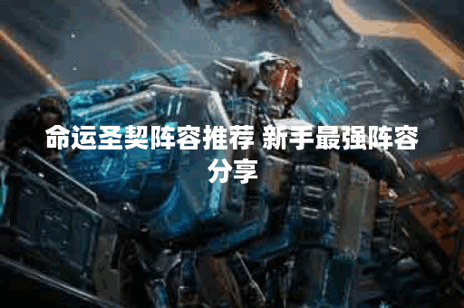 命运圣契阵容推荐 新手最强阵容分享 命运圣契阵容推荐 新手最强阵容分享