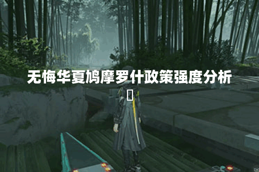 无悔华夏鸠摩罗什政策强度分析​